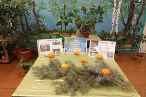 Интерактивная программа «Новый год в мире»