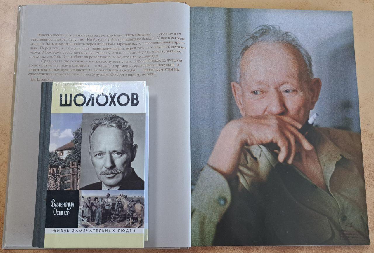 Открытый просмотр литературы к юбилею М.А. Шолохова