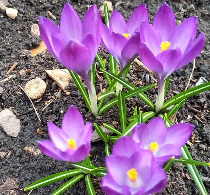 «Берегите Землю!»