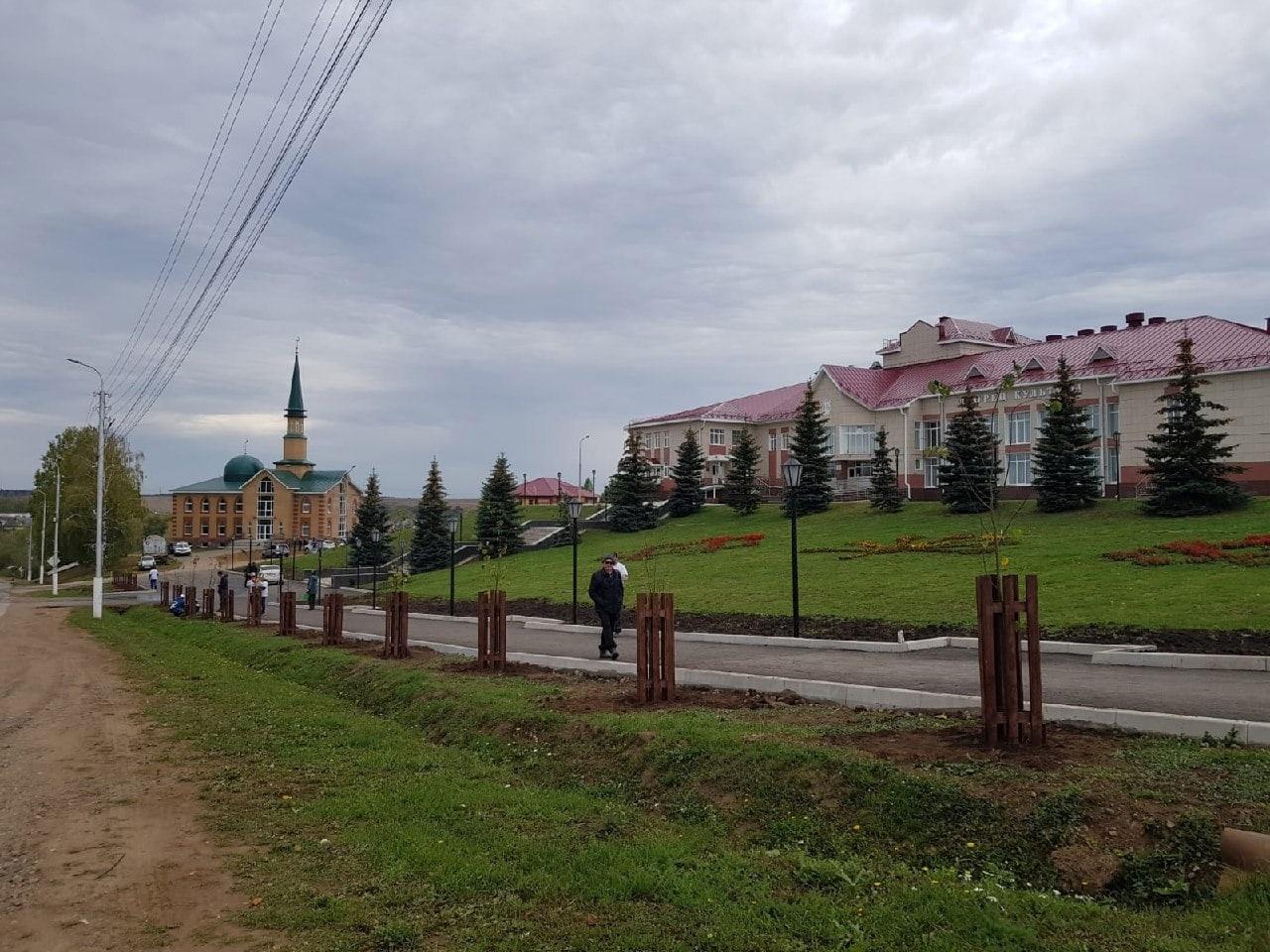 Краеведческие чтения «В том краю, где ты живешь»