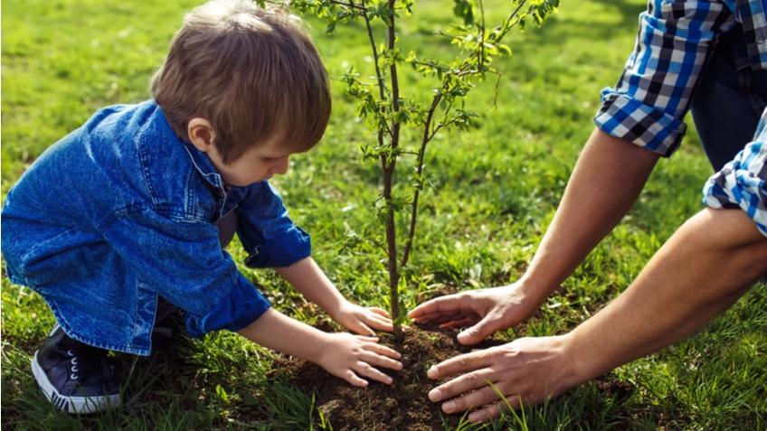 «Чтобы всюду зеленели сосны, клены, ели». День посадки леса.