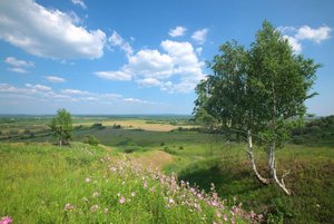 Цикл экскурсий «Великие достопримечательности родной земли»