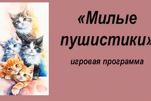 игровая программа