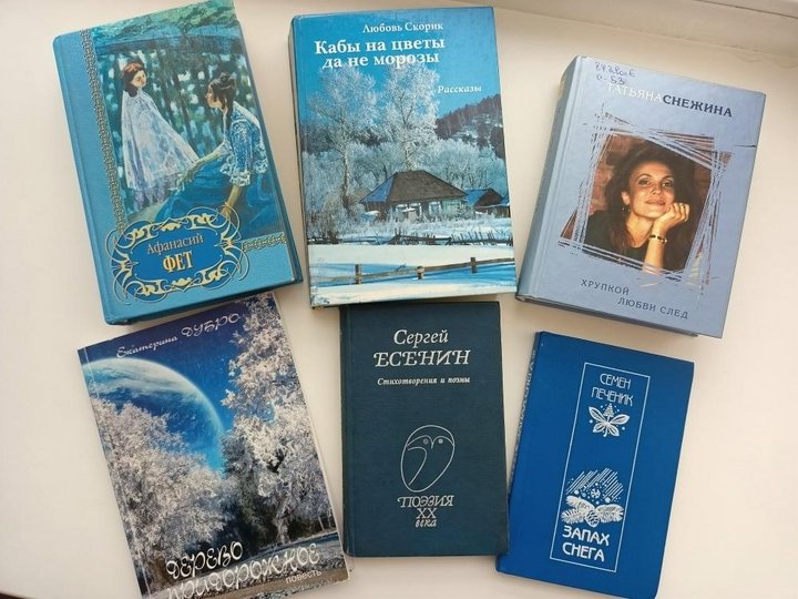 Программа «Зимние мотивы в русской литературе»