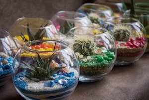 Мастер-класс «Флорариум. Таинственный цветок»