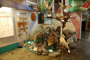 Музейный тур «Прокопьевск в истории моей страны»