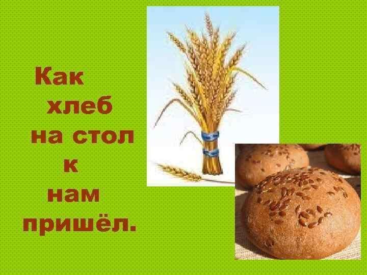 Презентация как на стол хлеб пришел презентация