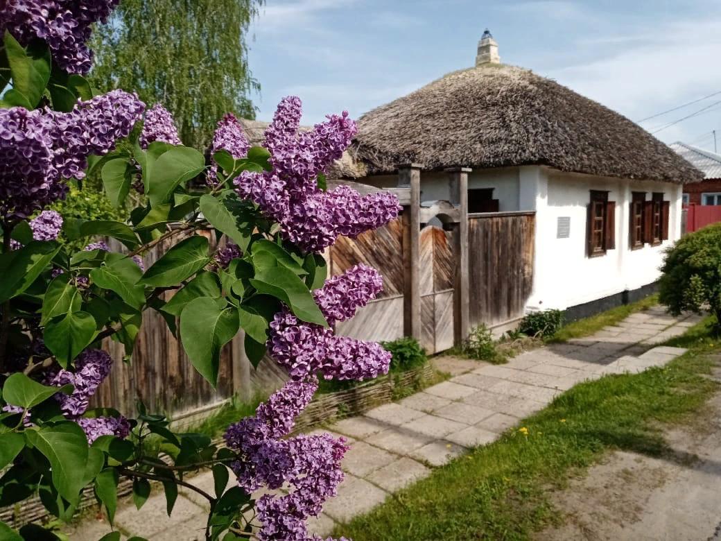 Дом-музей И. Н. Крамского