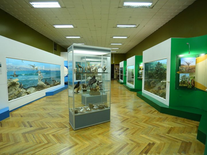 Выставка «Природа Новороссийского района. Охрана окружающей среды»