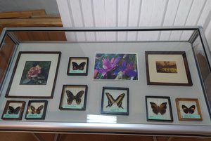 «Краски тропиков»