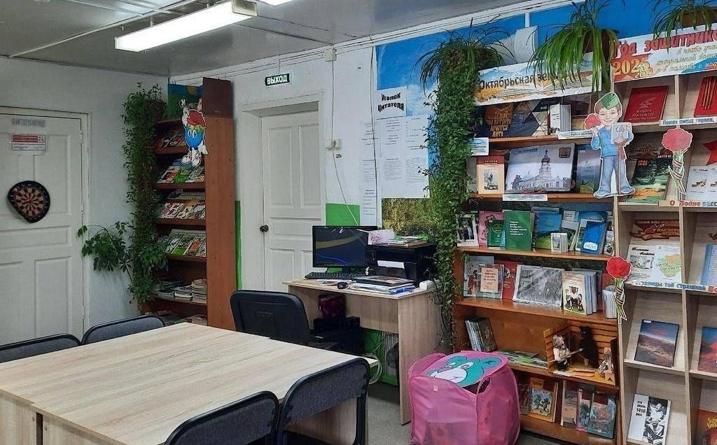 Больше-Сарсинская сельская библиотека