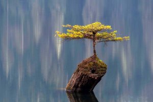 Культурно- просветительская программа «Вопреки всему»