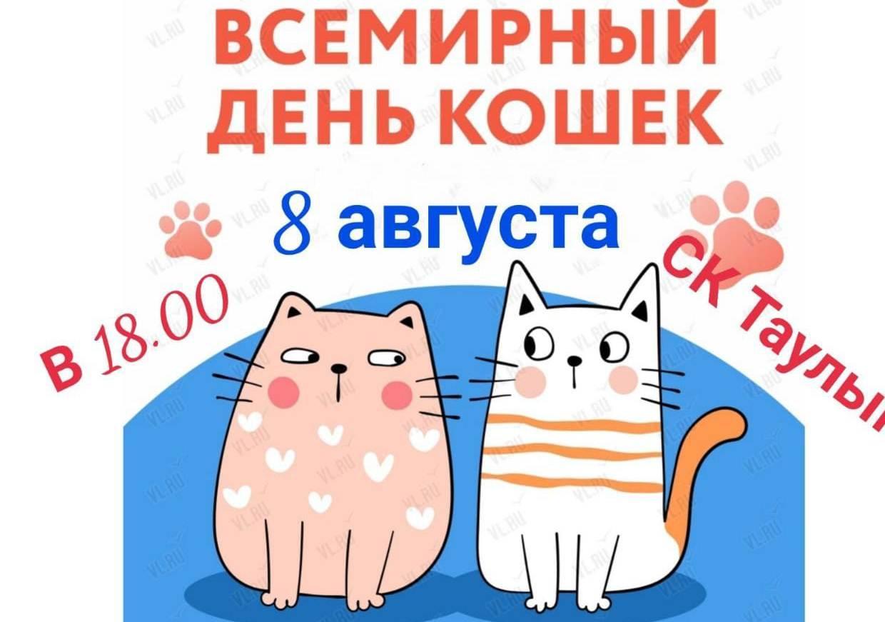 Любимицы - кошки