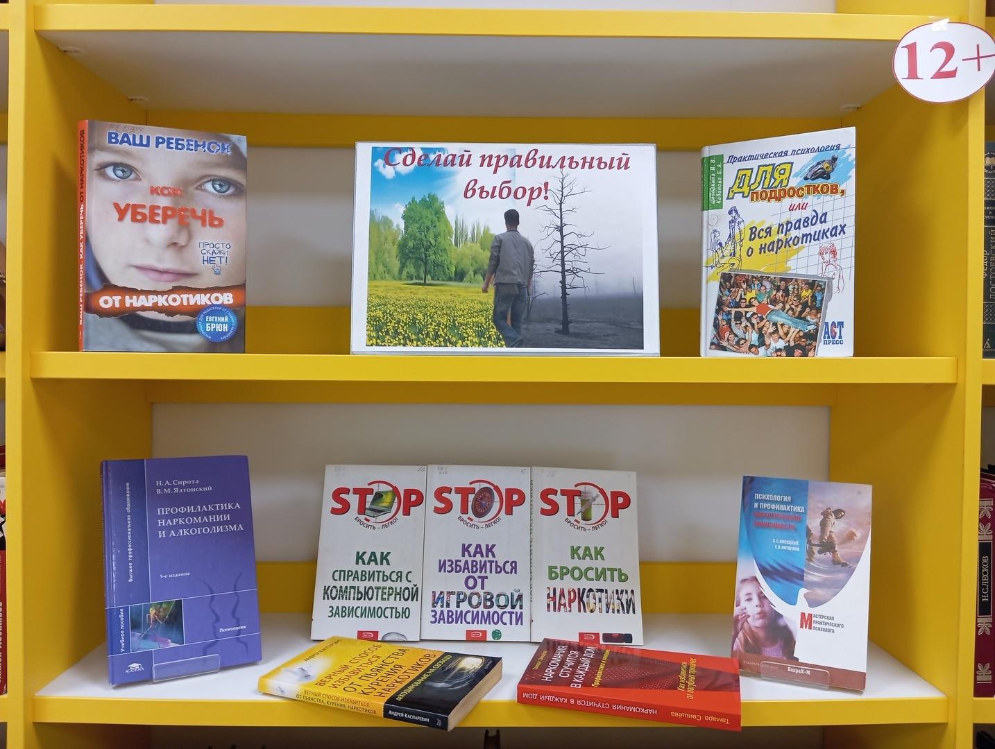 Книжная выставка «Сделай правильный выбор»