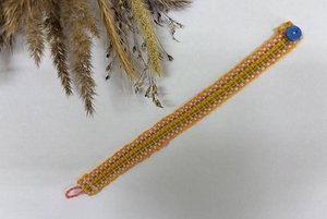 Интерактивный урок «От семечка до костюма»