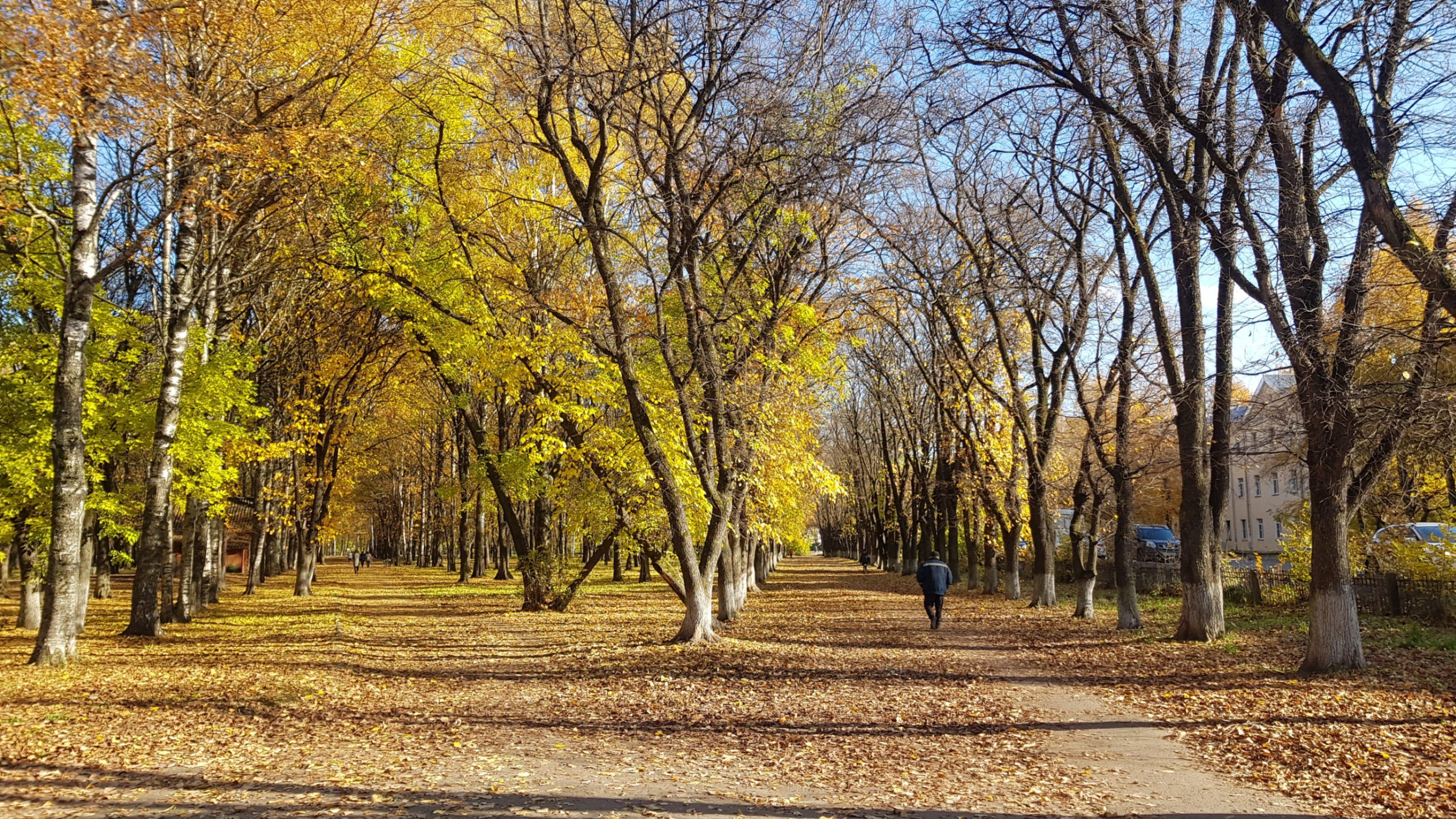 Парк «Осановская роща