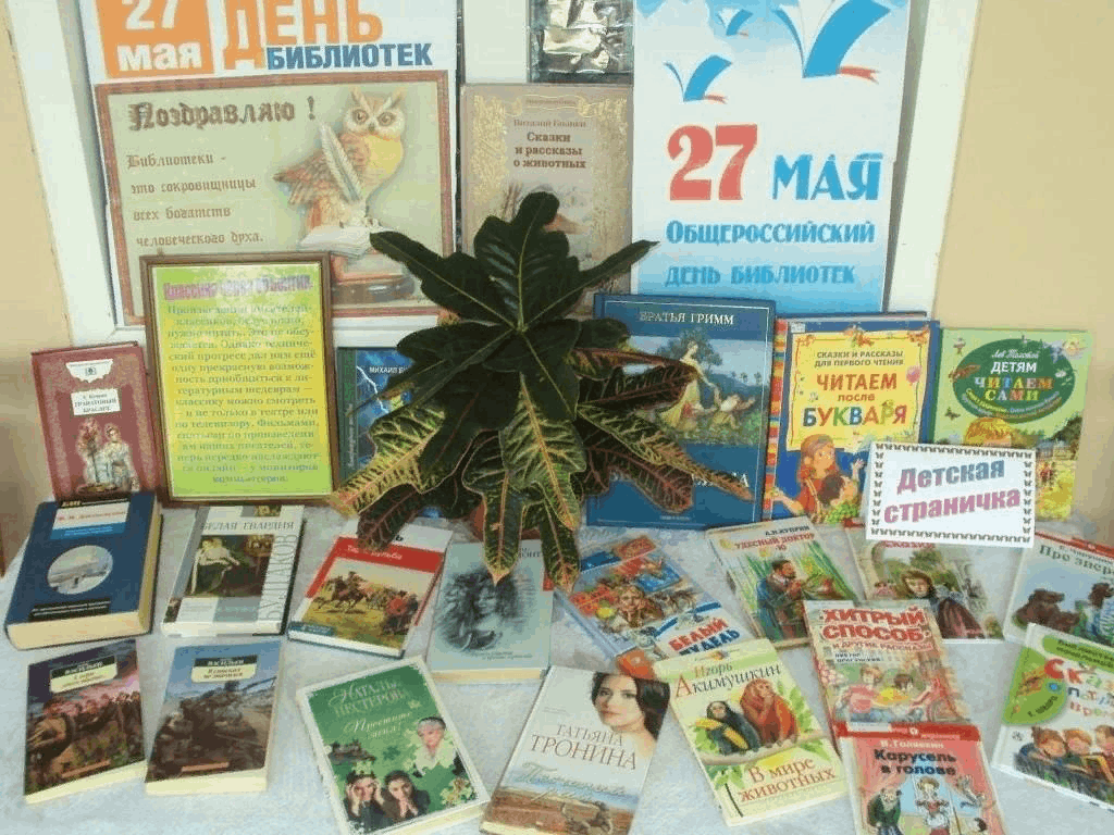 «Общероссийский день библиотек»–книжная выставка.