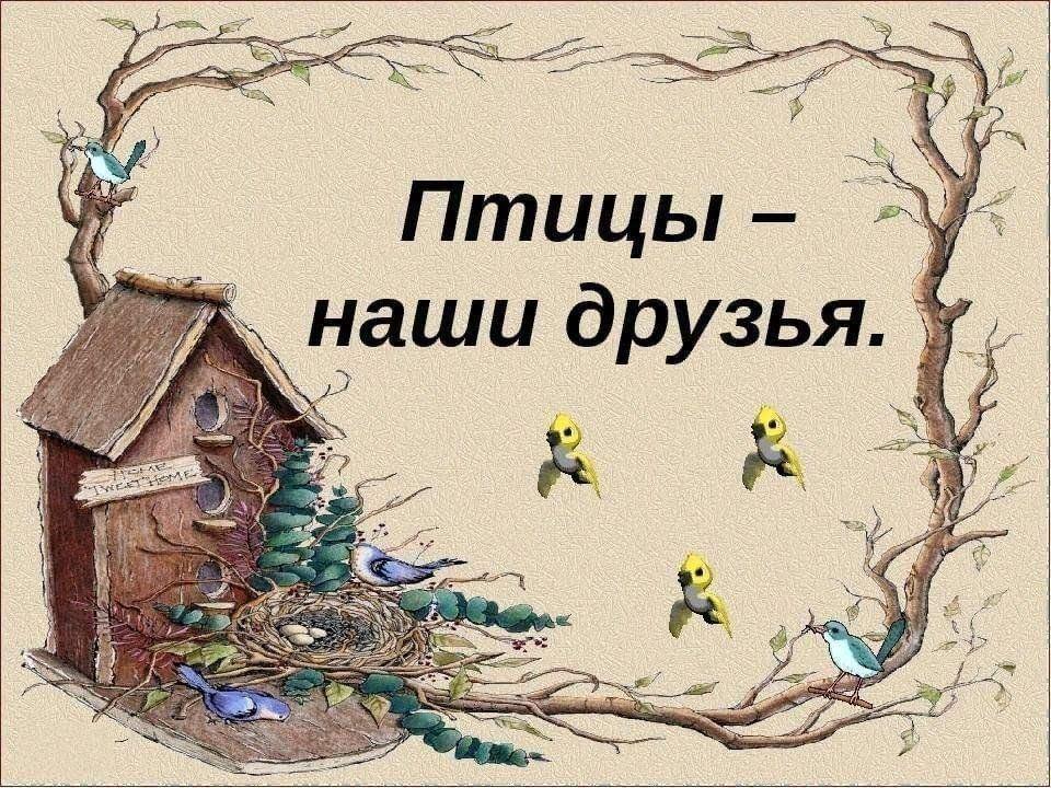 Акция, посвященная Дню птиц«Наши пернатые друзья»