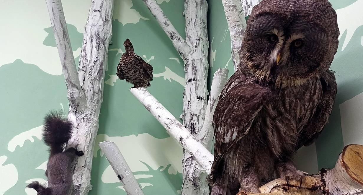 Квест «Край, в котором живем»