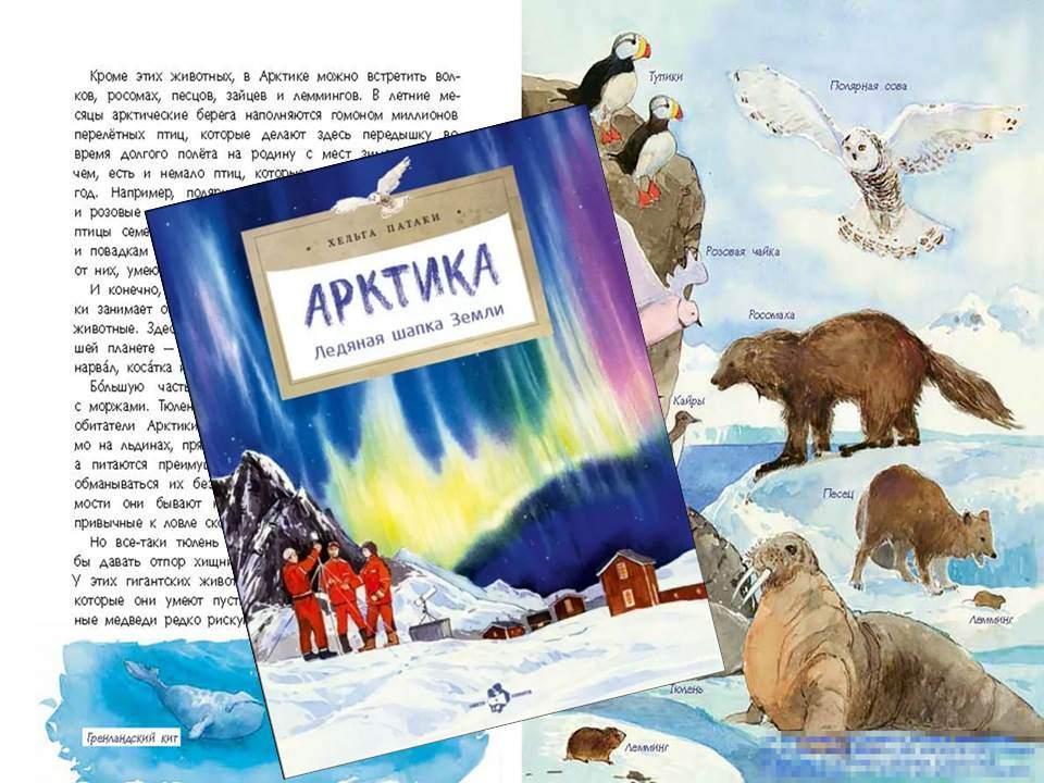 «Арктика»