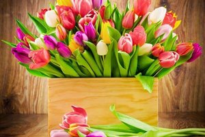 Конкурс чтецов «Самая любимая, самая родная»