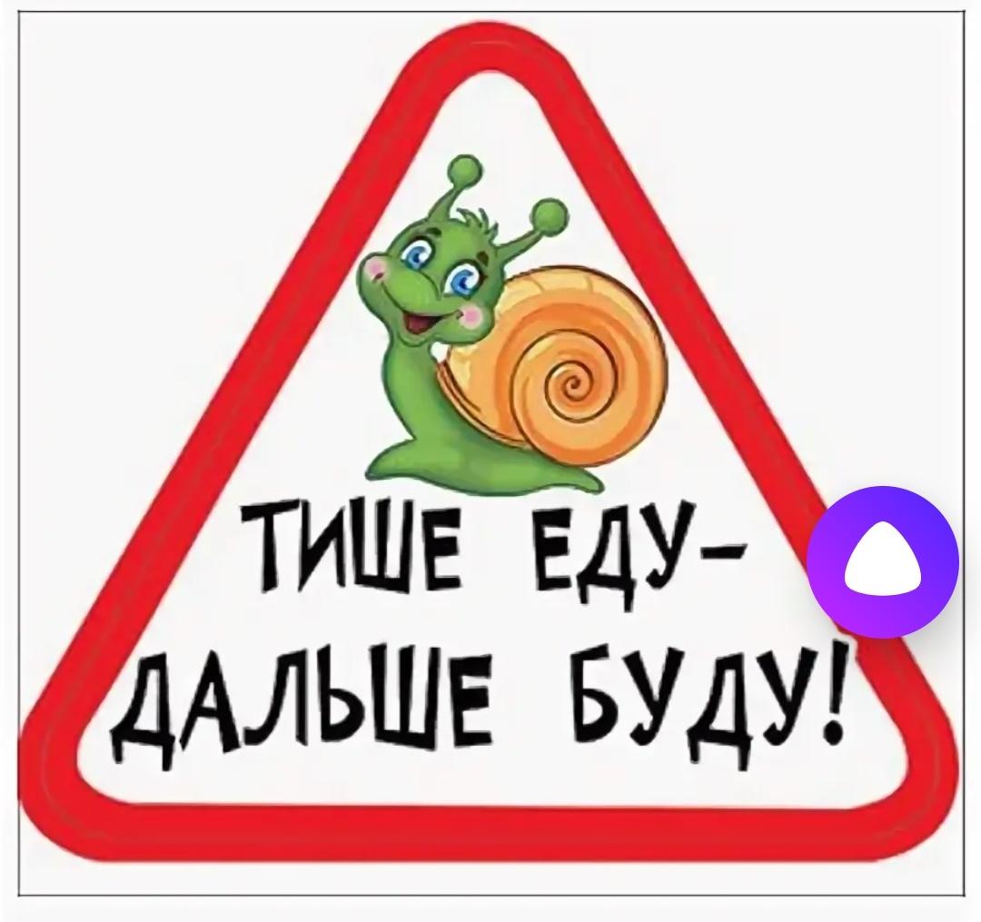 Тише едешь, дальше будешь