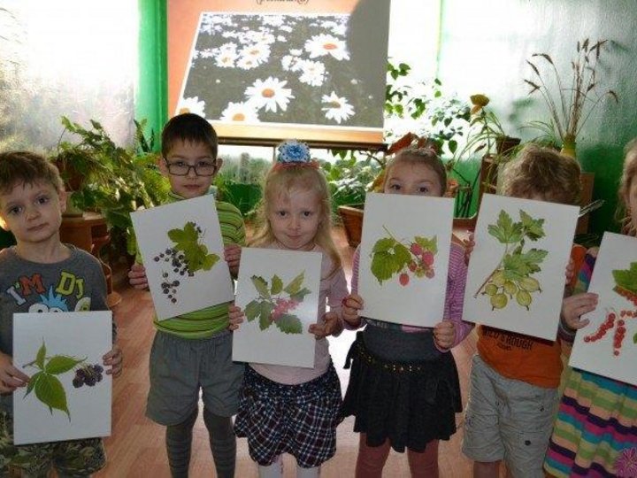 День леса в детском саду подготовительная. Экология в старшей группе. Занятие по экологии в подготовительной группе. Занятие по экологии в старшей группе. Экология в подготовительной группе.