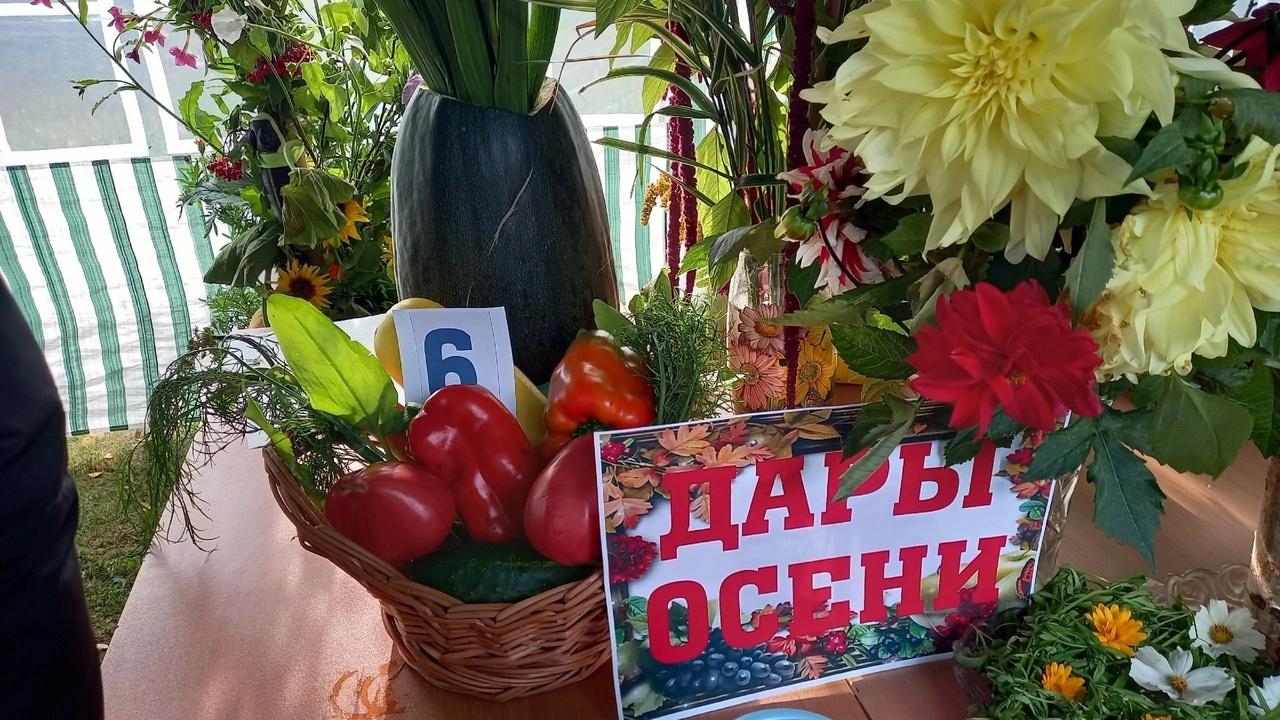 Выставка «Дары осени»