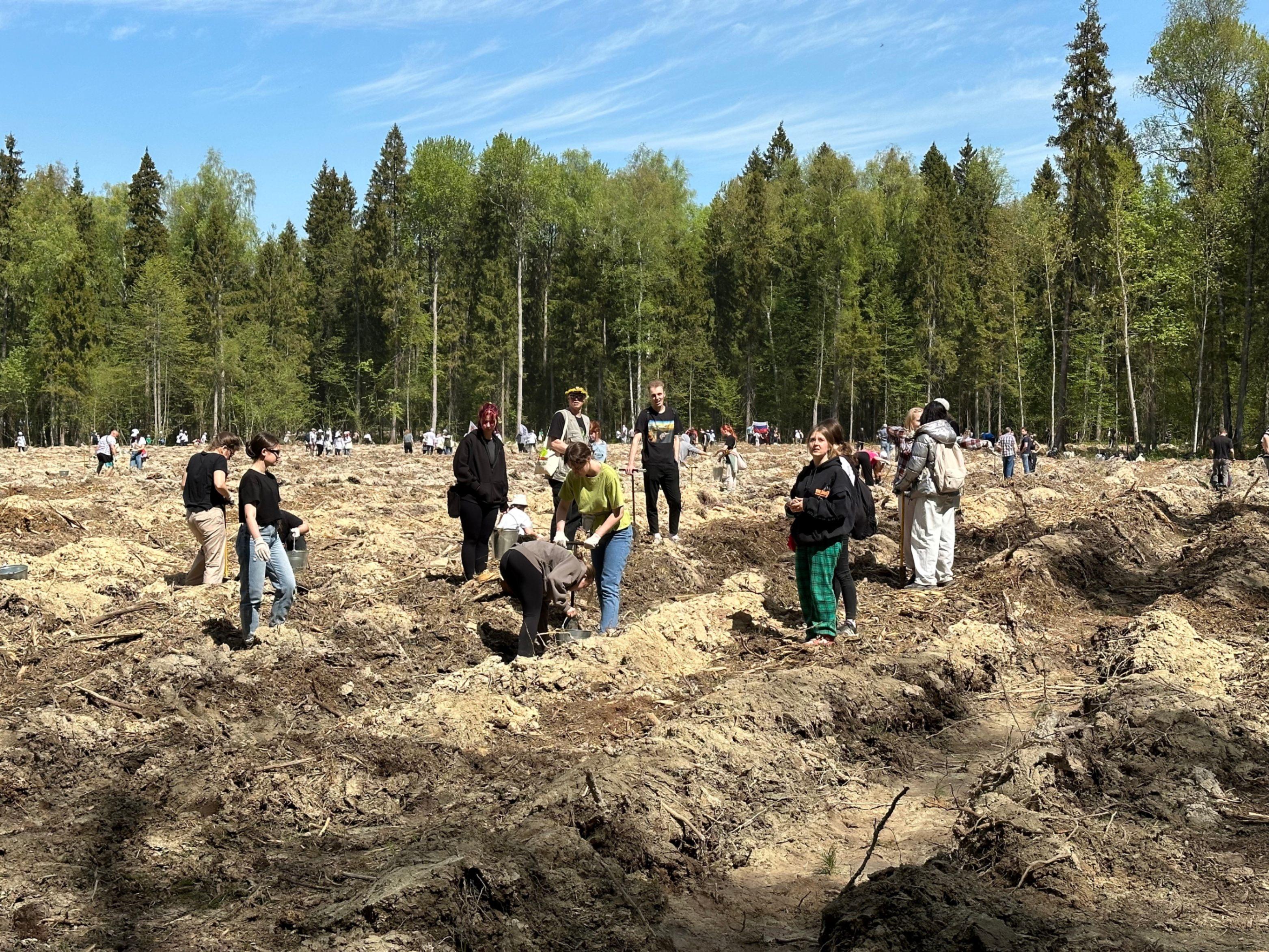 Эколого-патриотическая акция «Лес Победы»