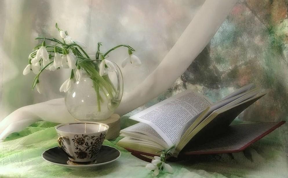 Поэтический вечер «Поэзия как музыка души»