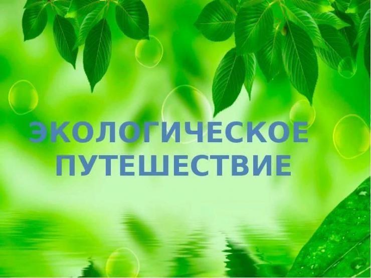 Экологическое путешествие «Окно в природу»