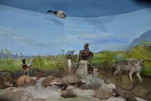 Выставка «Человек в природе. Природа в человеке»