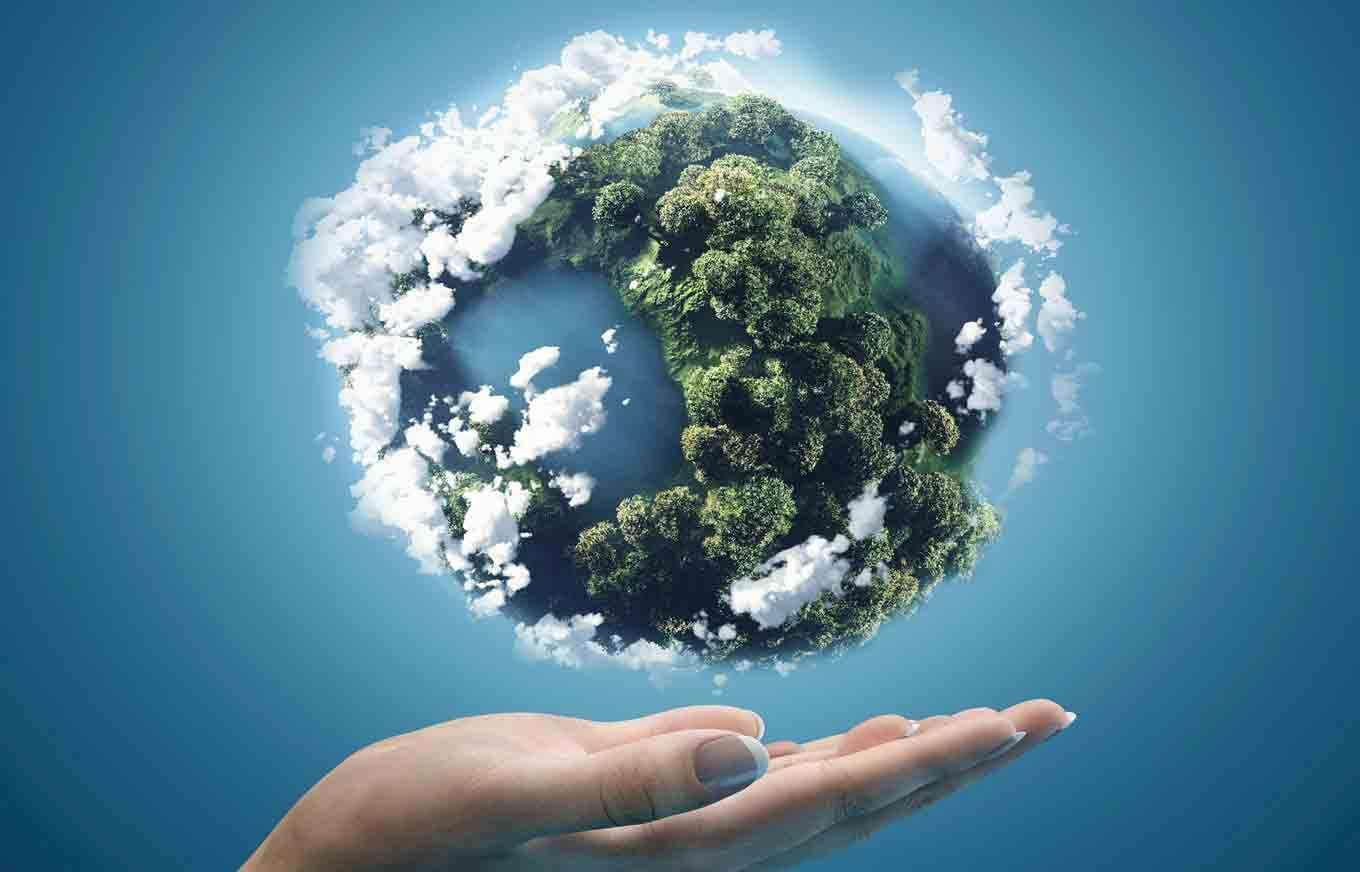 Экология это чистота природы