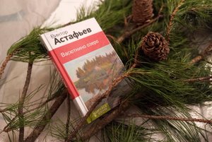 Программа «Литературные просторы: от Калининграда до Находки»
