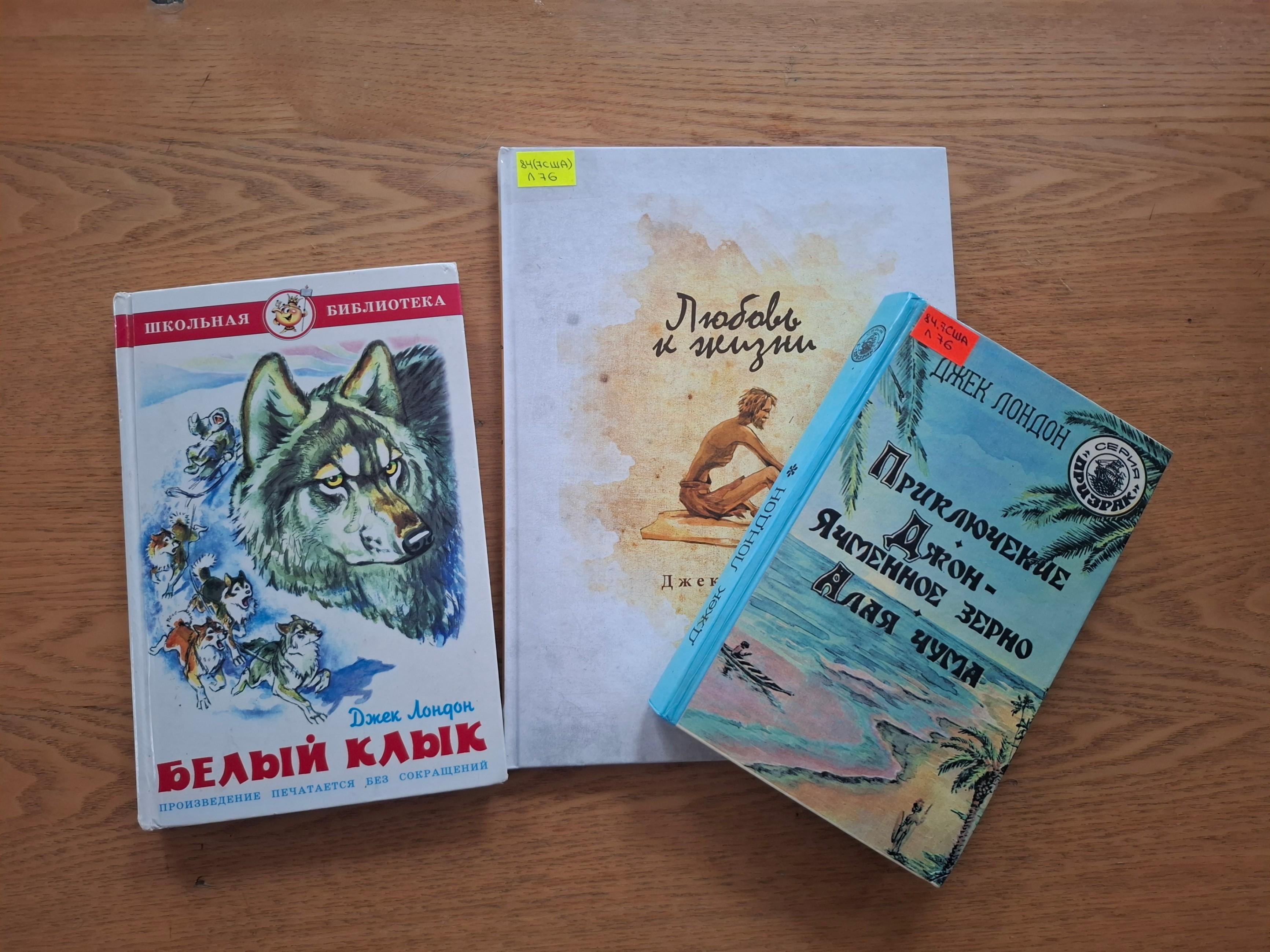 Книжная выставка «Романтик белых снегов»