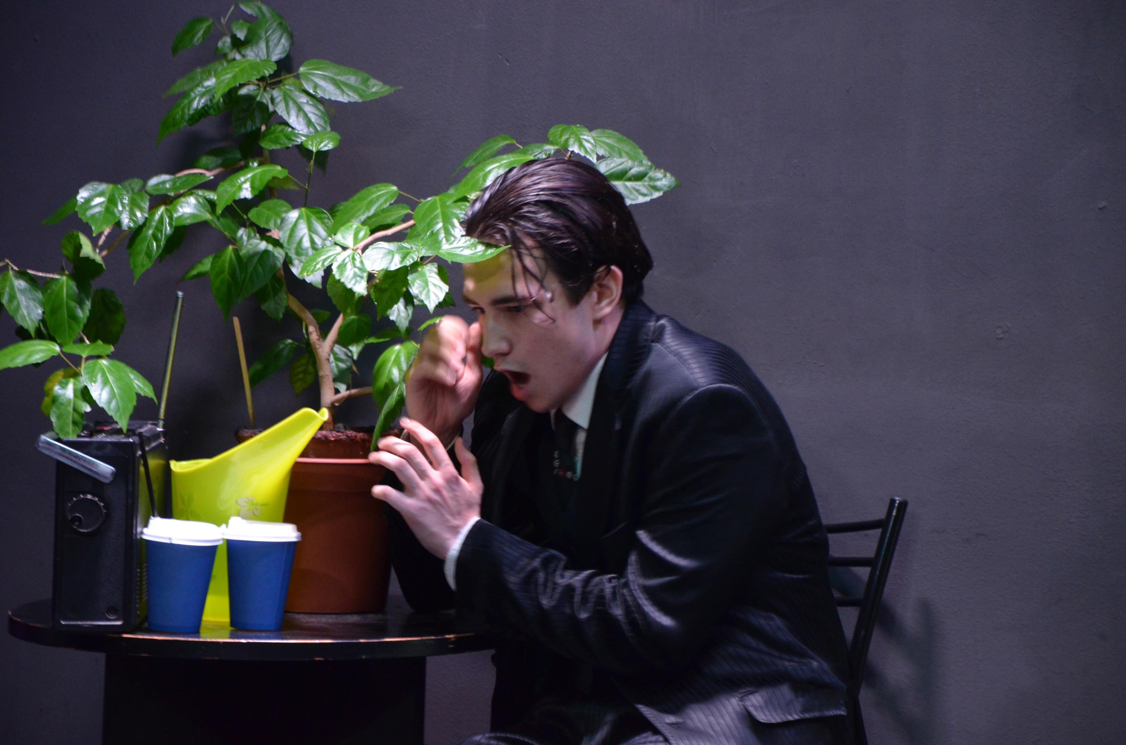 Спектакль «Ужасы в цветочном магазине»