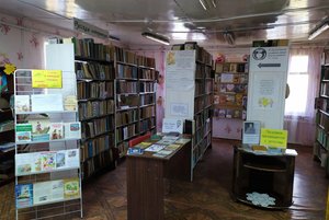 Программа «Дом, где живут книги»