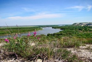 Программа «Родного края облик многоликий»