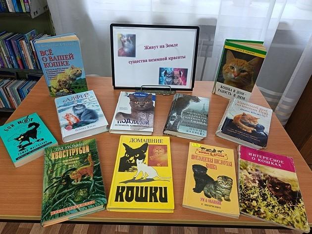 Книжная выставка «Немножко о кошках»