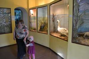 Экспозиция Вытегорского краеведческого музея