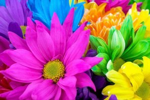 Мастер-класс «Цветами улыбается земля»