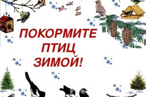 Акция «Накорми птиц»