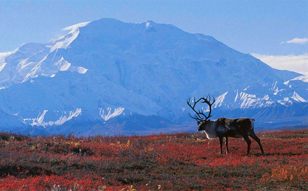 Весенний фестиваль «Праздник народных традиций и культур» - «Эхо Севера»