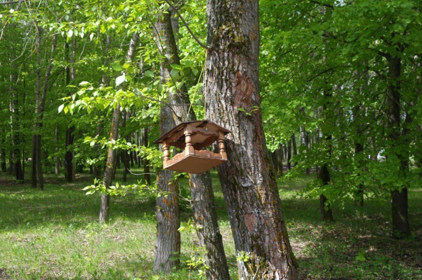 Акция «Кормушка»