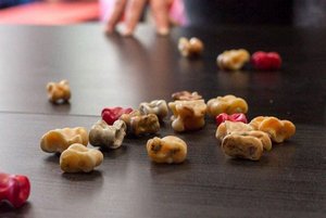 Мастер-класс «Асык» – древняя игра кочевников»