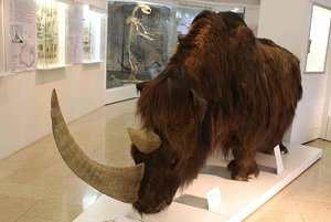 Экспозиции Государственного исторического музея Южного Урала