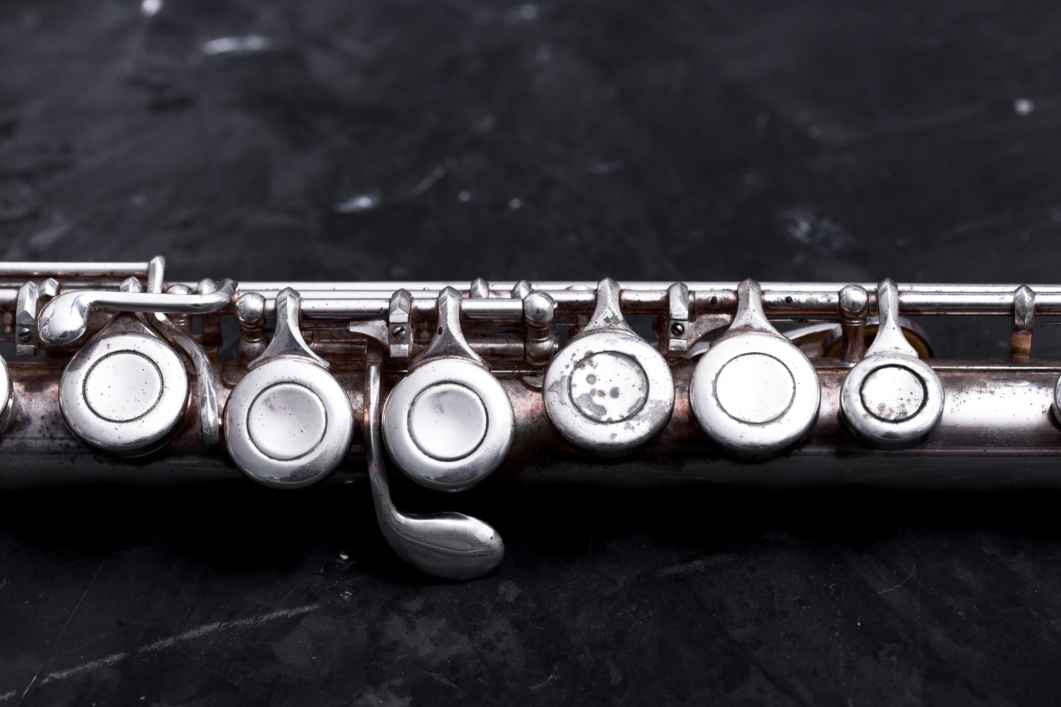 Мастер-класс «Азбука флейтиста: постановка корпуса»