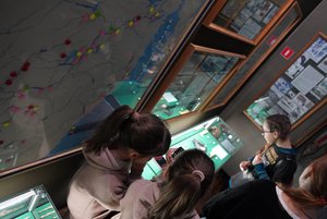 Музейный урок «Древние государства Дальнего Востока»