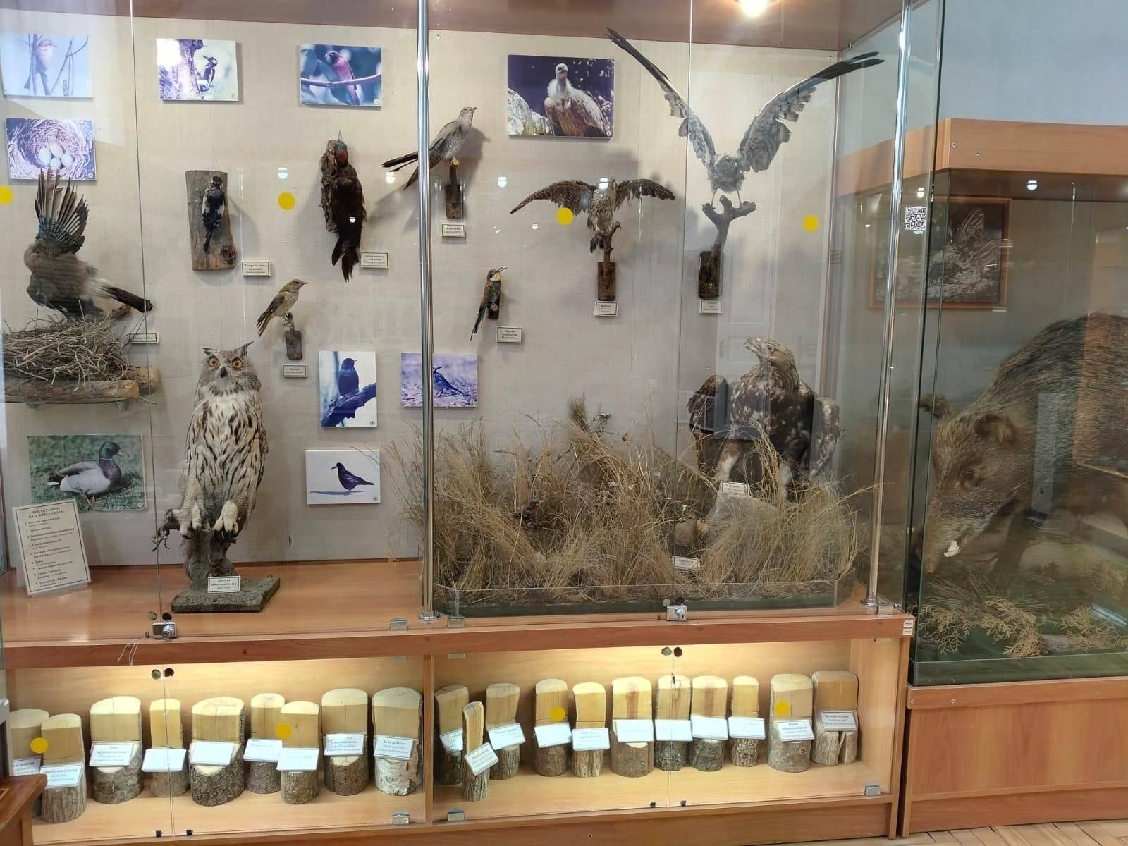 Образовательная программа «Красная книга Ставрополья»