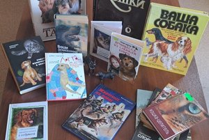 Программа «Безмолвная доблесть»